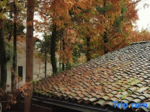 Qingcheng Study Eco Resort Hotel