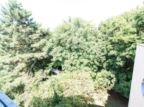 Apartment Hofwiesengasse