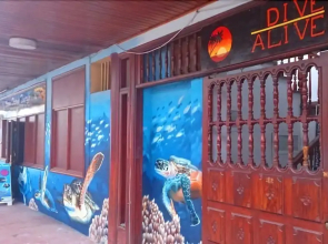 Dive Resort Ocean Dreams Tenerife