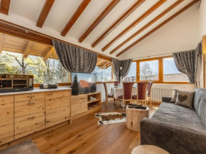 Chalet Mountain Plaza - Apt Overland