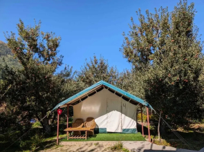 Apple Orchard Farm and Camping