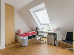 Private Room Geibelstraße