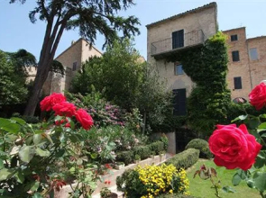 Palazzo Dalla Casapiccola