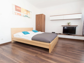CheckVienna - Apartment Meiselstrasse
