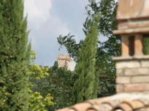 Tenuta Il Tresto - Iris