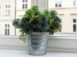 Two Bedroom Apartment Garbary by Renters