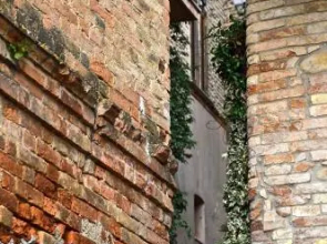 Agriturismo Fattoria Riomoro