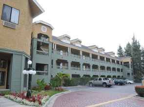 Oak Tree Inn