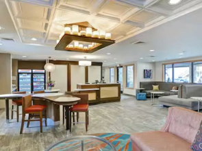 Homewood Suites by Hilton Jackson