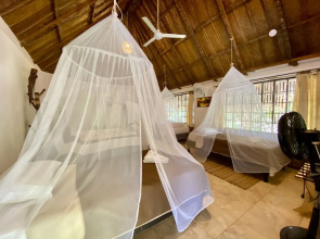 Quetzal Dorado Ecolodge
