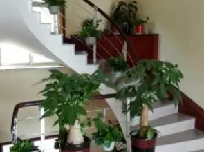 Zhujiajian Wushi Yuzhuang