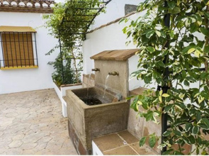 House in Almachar, Malaga 103704