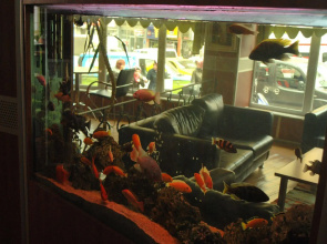 Hotel Topkapı