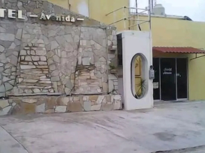 Hotel Avenida D Martin