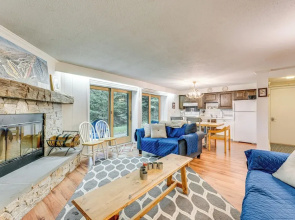 Renovated Ski-in/ski-out Peru Condo at Bromley Mtn