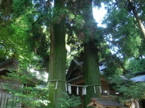 Hotel Grateful Takachiho