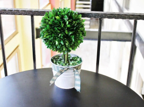 Гостиница Red Fox Guesthouse