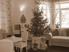 Guest house Vishneviy Sad