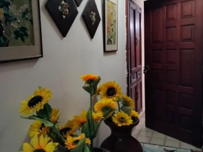 Los Cacicazgos Apart Estudio