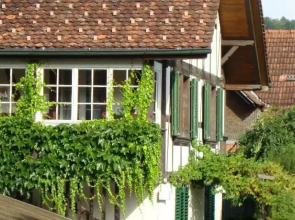 B&B Liechti Blumen
