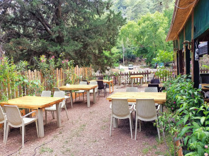 Canario Bungalows
