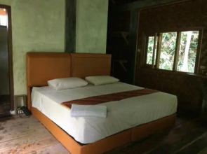 Sumatra Rainforest Eco Retreat