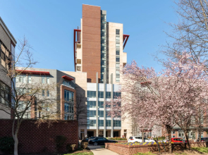 Alexandria Alluring 2BD 2BA Apartment