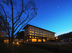 Hotel Ryu Resort and Spa
