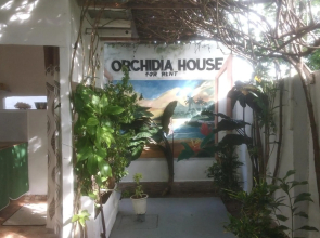 Orchidia House Santa fe Bantayan island