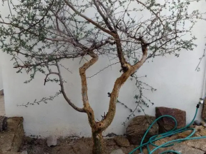 Apartamento El Sargento