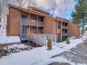 Bellaire Vacation Rental - Ski Shuttle Access!