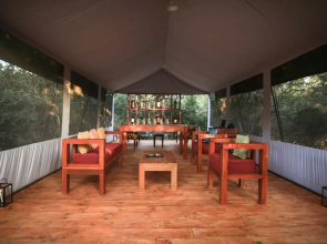Wild Trails Yala