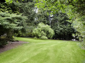 The Summer House