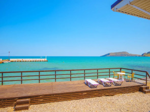 Эллинг у Зои