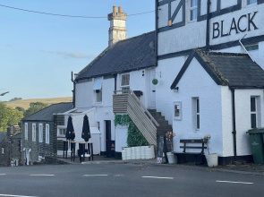 Black Bull Bellingham