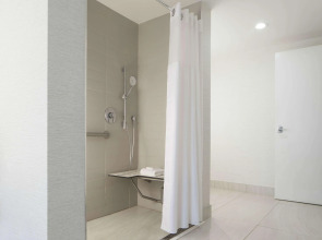 Hilton Garden Inn Austin Downtown