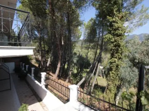 Alexandros Apartments and Studios