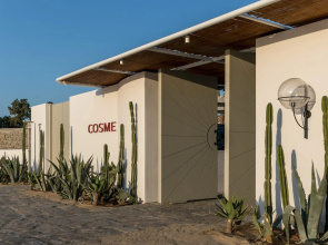 Cosme, A Luxury Collection Resort, Paros