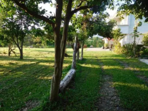 South 215 Homestay