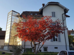 Casa Carmela Apartment