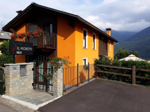 Il Vigneto