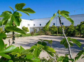 Masseria Rauccio