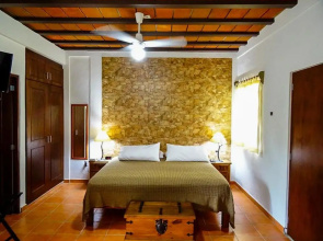 Orquideas studio by Las Palmas