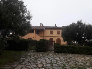 Immersa Nel Verde