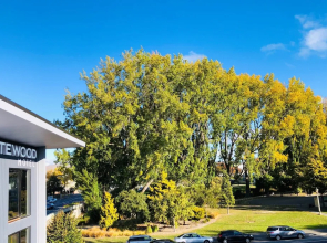 Whitewood Suites Inner City Luxury Apartments