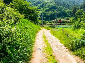 Wonju Gamaksan Hwangtobang Pension