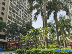 Allston Light Hotel (Xiamen Gaoqi Airport & Wuyuan Bay)