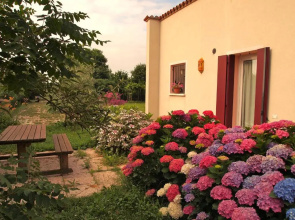 Agriturismo Il Magicorto