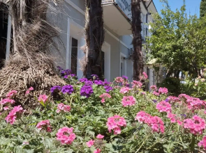 Guest House Dioscuria