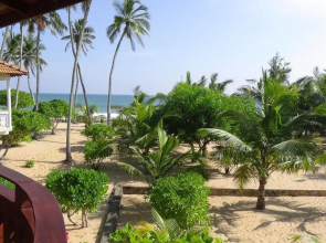 Tropical Garden